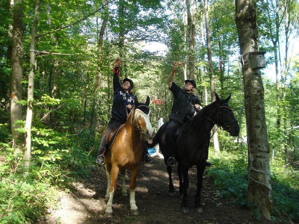 DSC06508 - HOMEPAGE.JPG